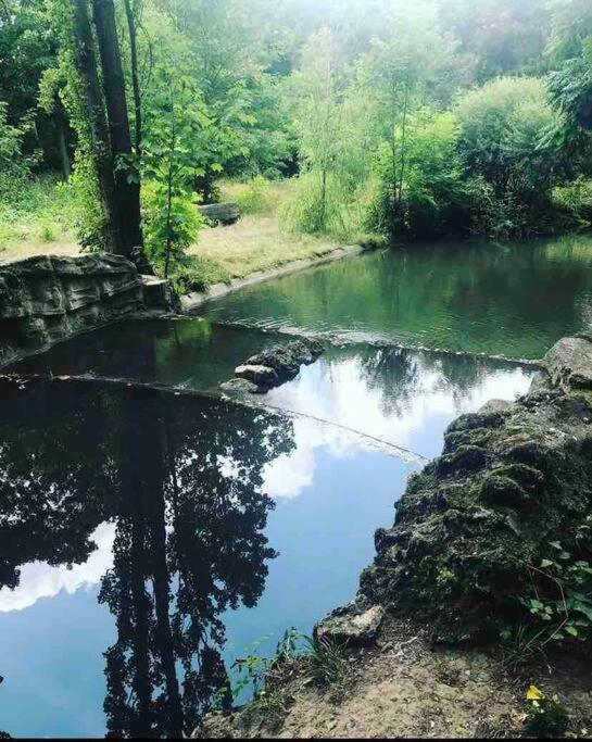 Le Cocon 56 Daire Vincennes Dış mekan fotoğraf